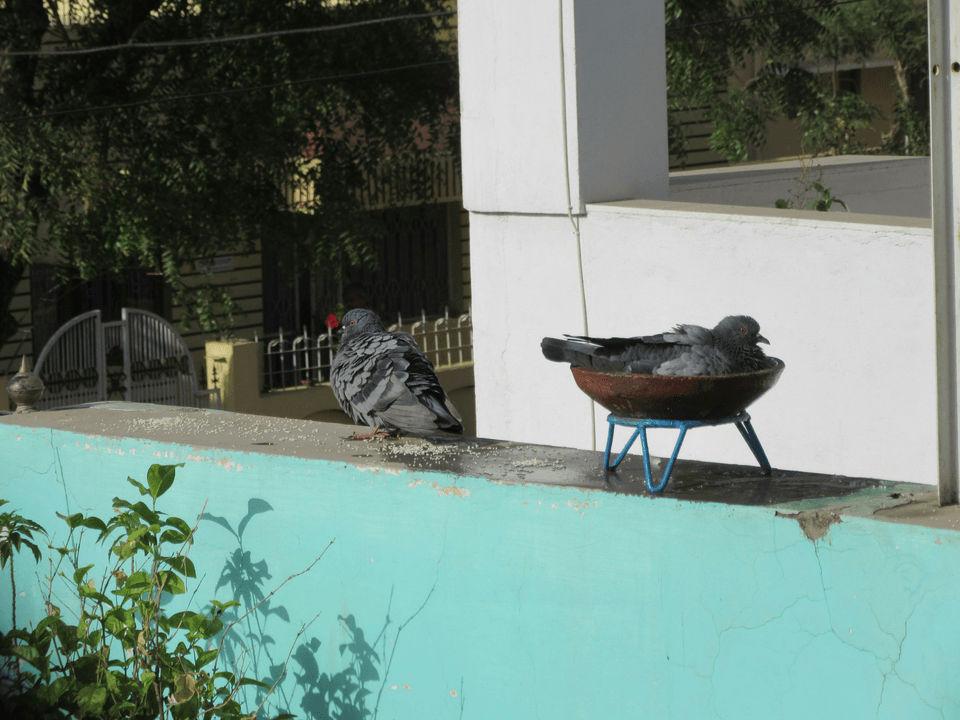 استشارة شخصية