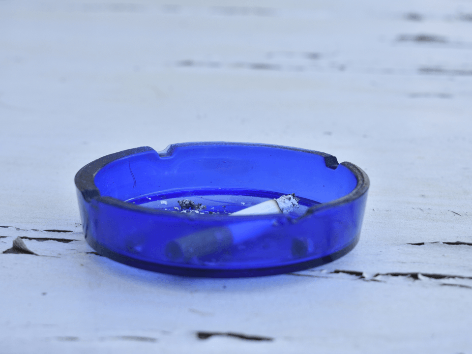 Initial Design Brief