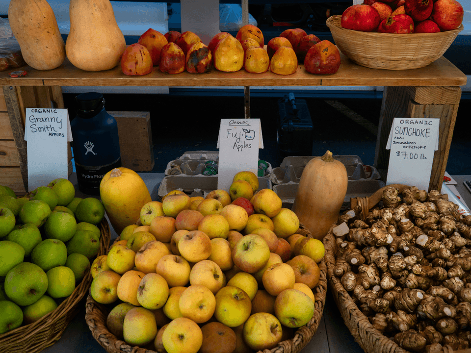 Seasonal Fruit Recipes