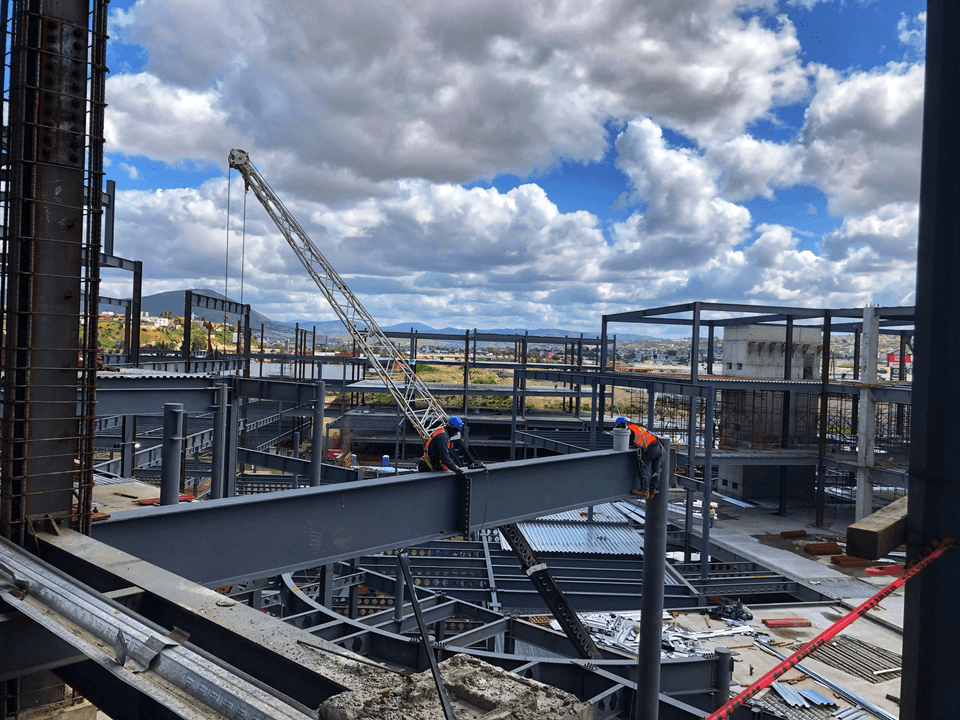 Initial Consultation