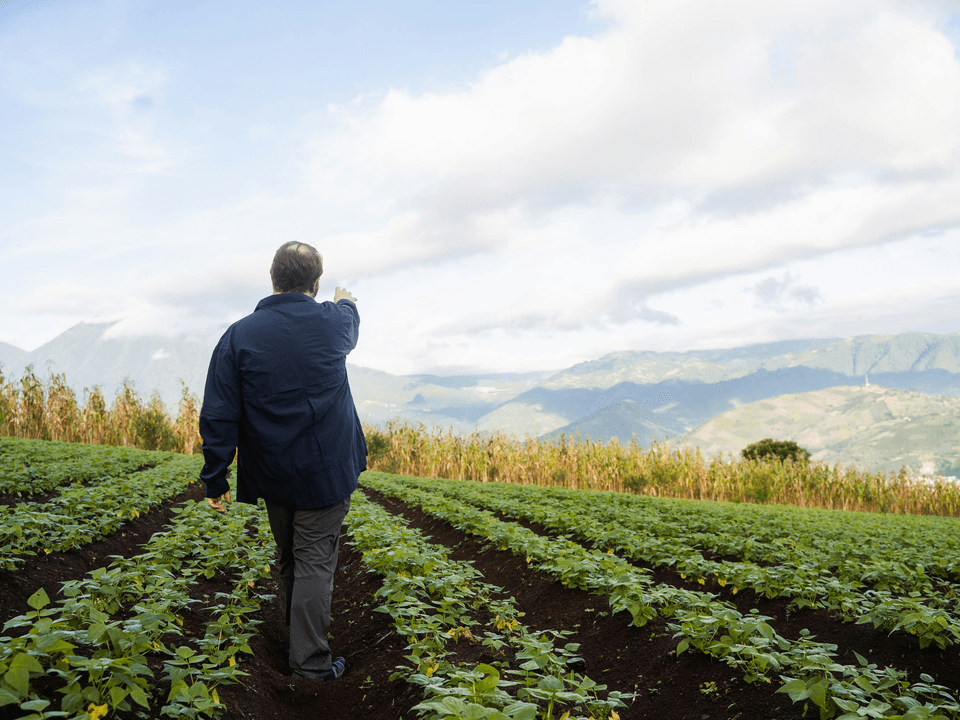 Personalized Agricultural Strategies