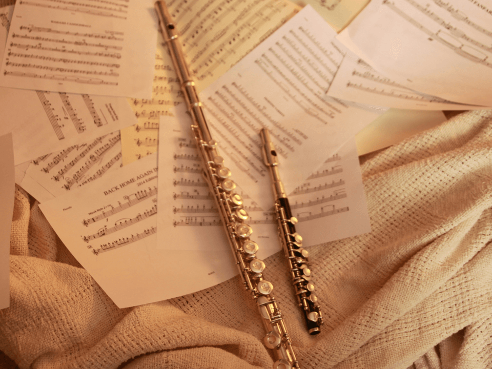 Beginner Flute Workshop