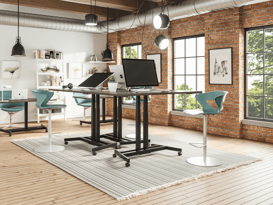 Expert Office Consultation