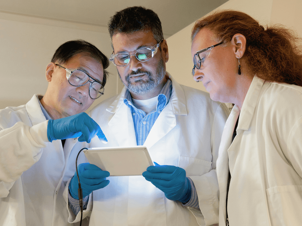 Consultation en Recherche Scientifique