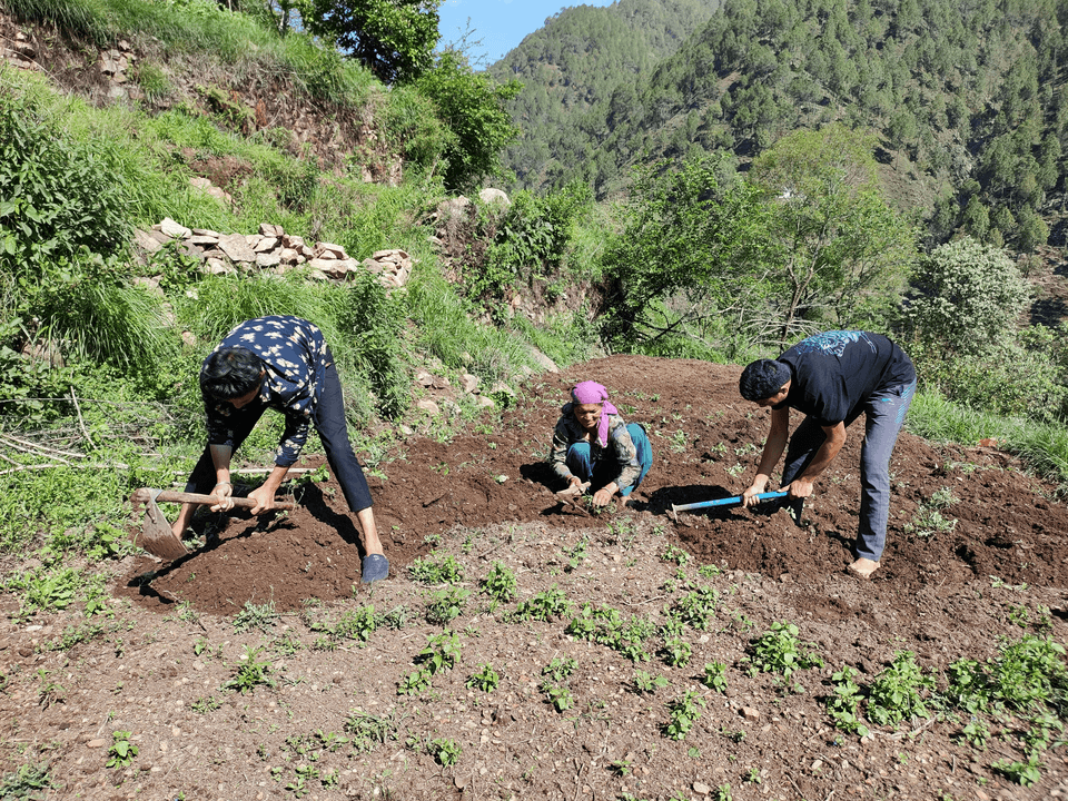 Permakultur-Intensivkurs