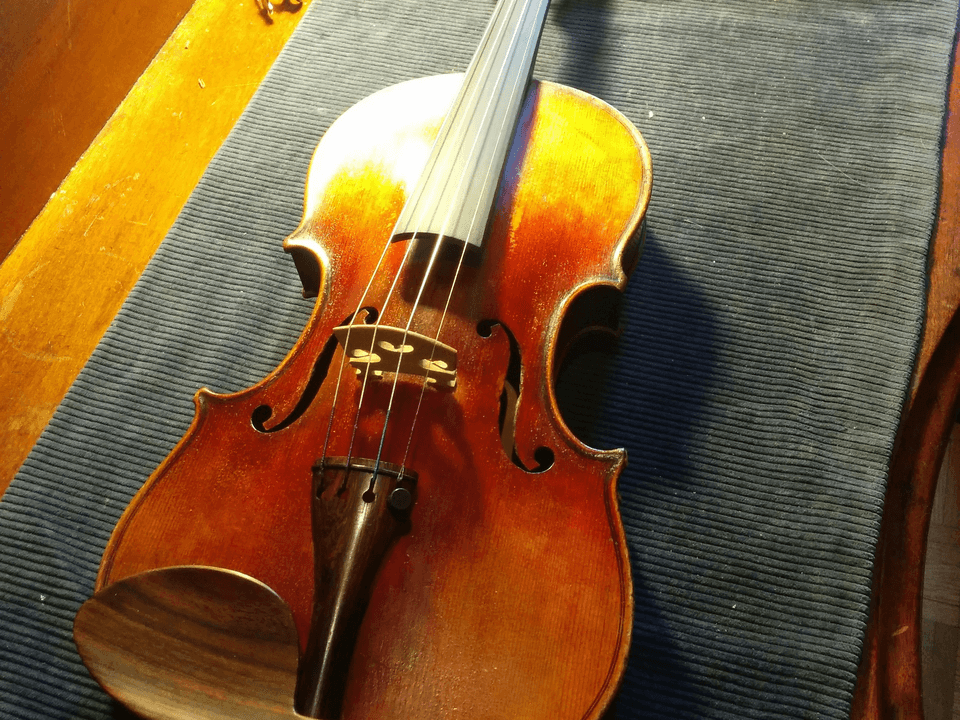 Custom Violin Consultation