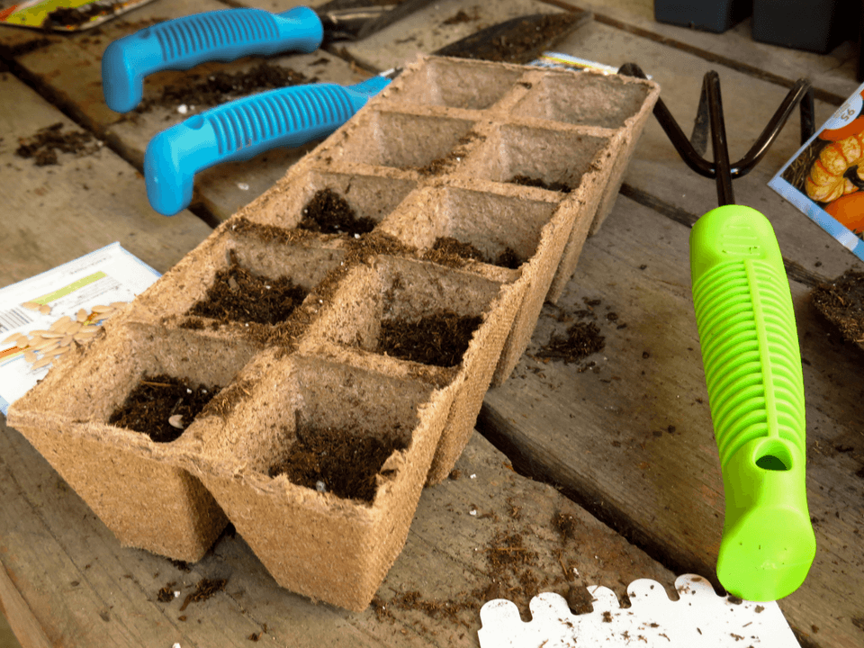 Gardening Basics Workshop