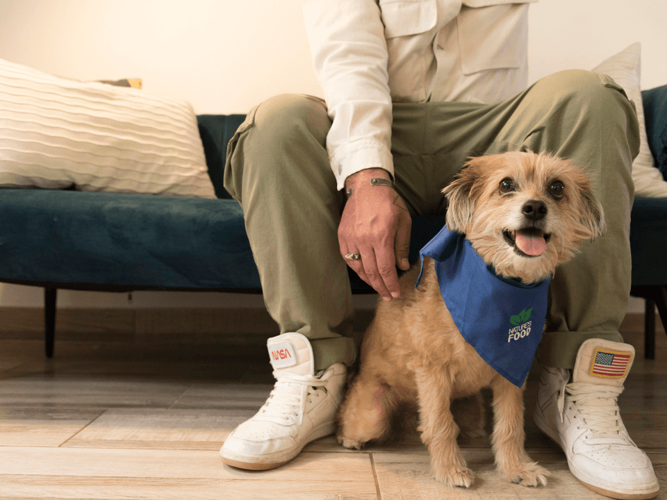 Easy Online Scheduling