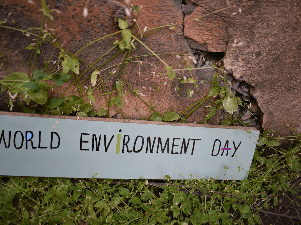 Environmental Awareness Workshops