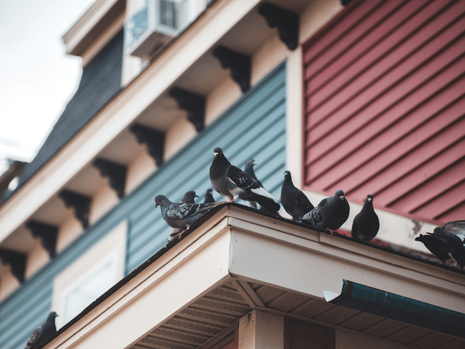 استشارة شخصية