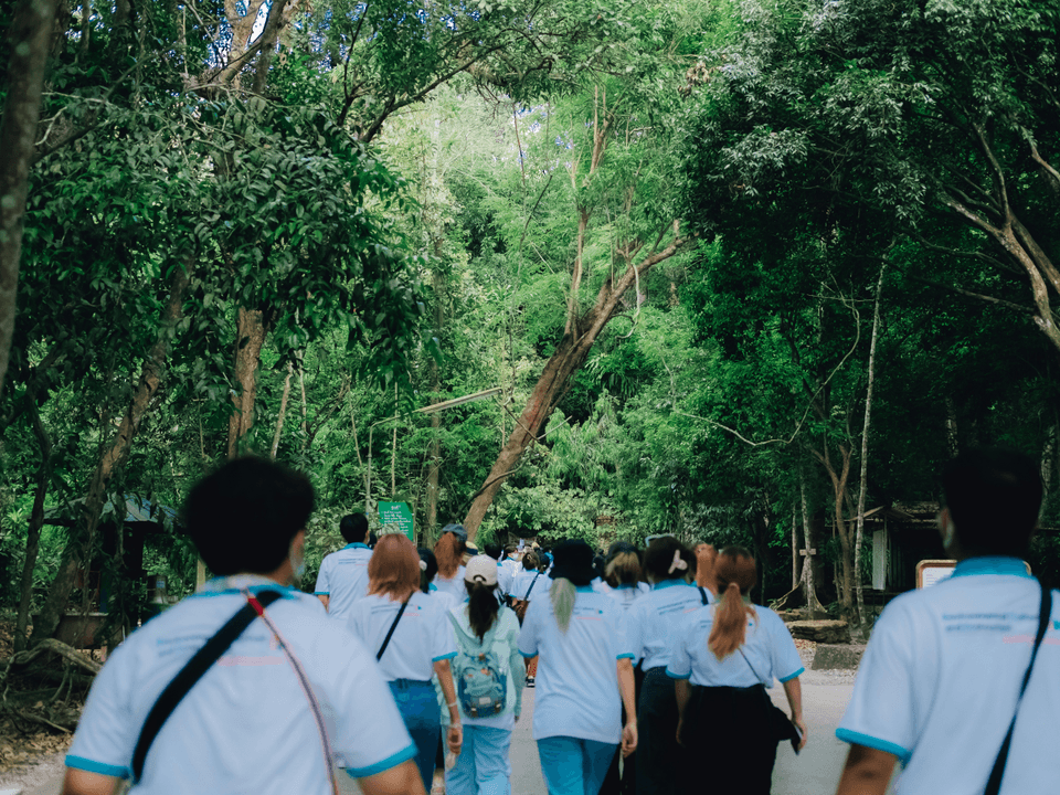 Pricing and Availability