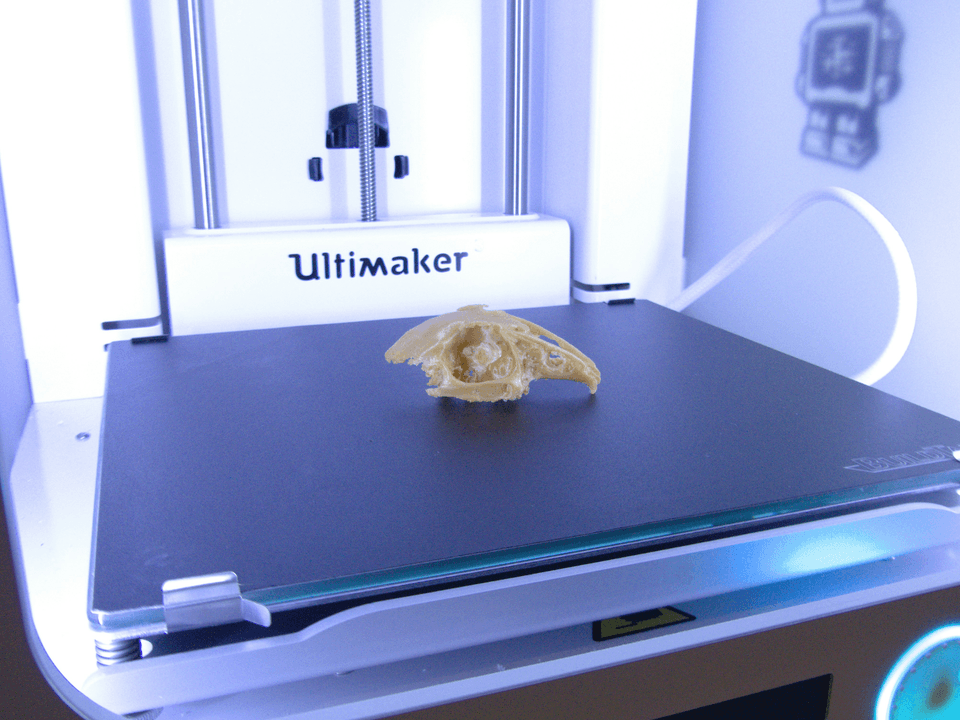 Curso Intensivo de Bioimpresión 3D