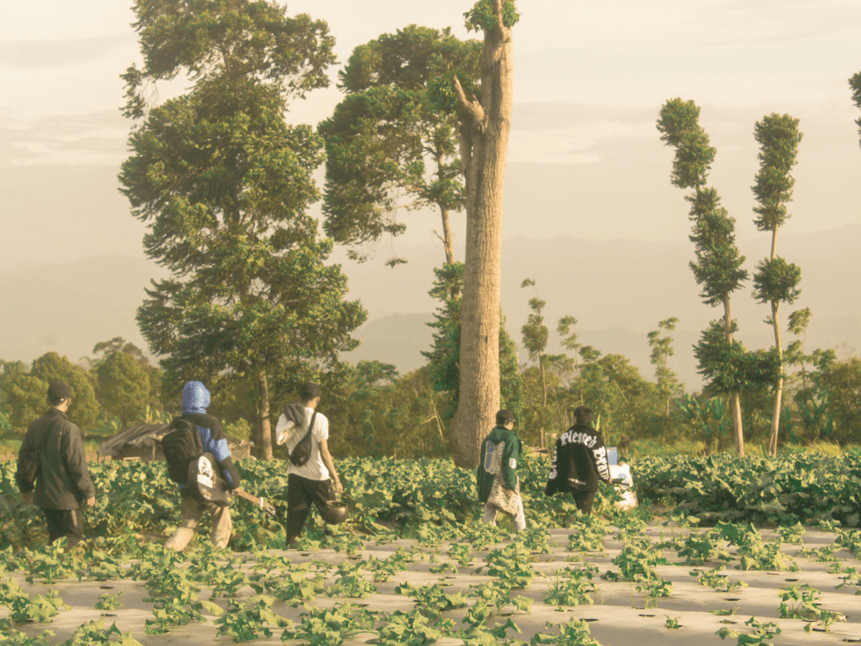 Sustainable Farming Techniques