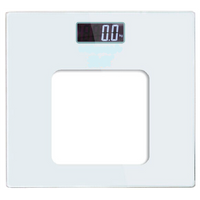 Weight Meter