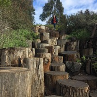 Steps - Bay Area Discovery Museum