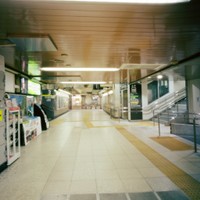 Yoyogi st 2015