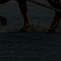 朝調教@帯広競馬場　20160103