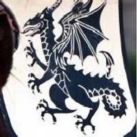 Blason du chevaler Loys de Charny