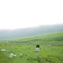 Peaceful wonderland