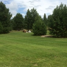 Huge Yard