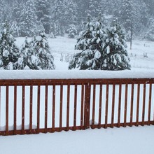 It's Snowing!