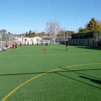 Courtclean School Sports Turf