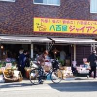 八百屋ｼﾞｬｲｱﾝ On Strikingly