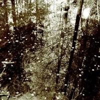 studioTripod  fine art printmaking on Strikingly