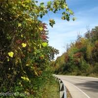 High Cliff State Park, WI
