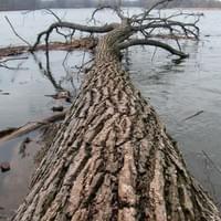 1000 Islands Environmental Center, Kaukauna, WI