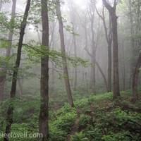 Porcupine Mountains Wilderness State Park, MI