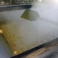 Granulated Fine Grain Piloncillo 100% Cane Juice 0.5 to 3 cm Kosher ...