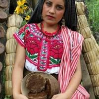 Granulated Fine Grain Piloncillo 100% Cane Juice 0.5 to 3 cm Kosher ...