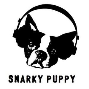 Snarky Puppy