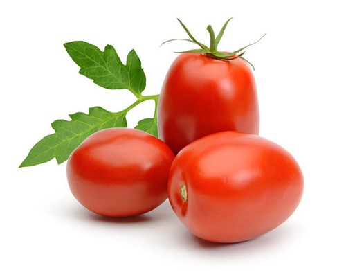 Roma - Plum