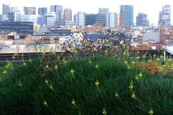 Castellana, Madrid 1999