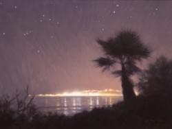 "Reaching for the Stars" 12x16, Oil