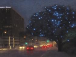 "The Oaks of Sherman Oaks"  12x16, Oil, $1300