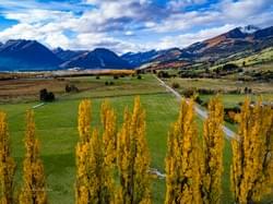 Autumn colours. Glenorchy. South Island. New Zealand.
