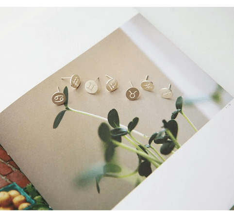 Zodiac Earrings