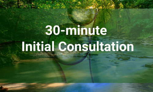 A 30-minute  Initial  Consultation