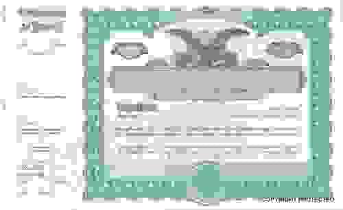 GOES 1388 BLUE / 1389 GREEN STOCK CERTIFICATES (PACK OF 100)