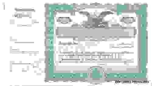 GOES 390 GREEN STOCK CERTIFICATES (PACK OF 100)