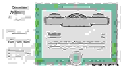GOES 720 (BLUE) / 722 (GREEN) STOCK CERTIFICATES (PACK OF 100)