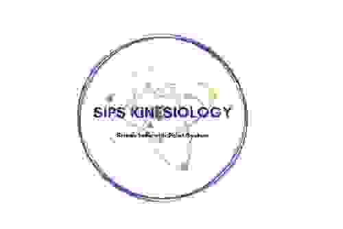 Stress Indicator Point System Kinesiology BAP
