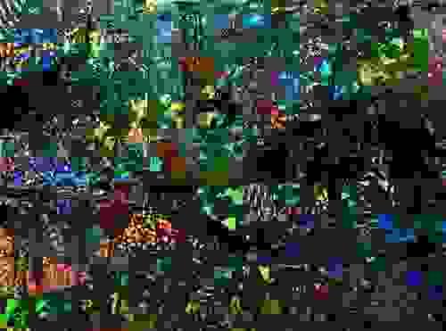 Fish