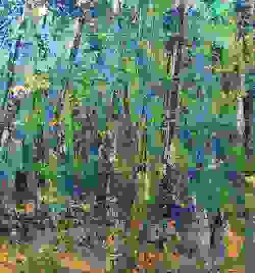 Concord Woods