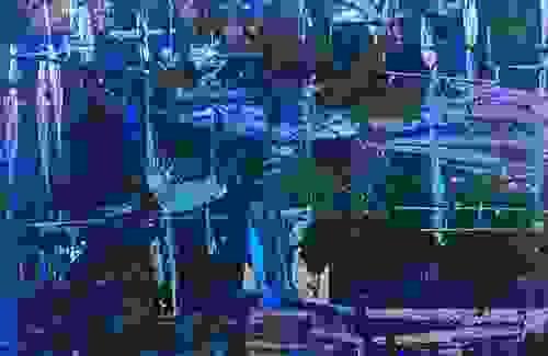 The Harbor