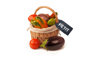 Panier de légumes  : Taille S "Sianna"