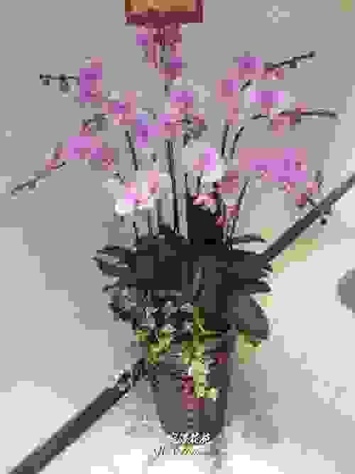L-005蘭花花禮
